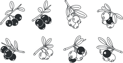 A collection of blueberry illustrations featuring branches and leaves in black and white minimalist vector style, suitable for organic food branding
