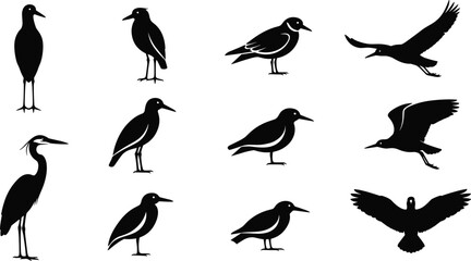 Black Bird Silhouettes Vector Illustration Set Featuring Various Shorebirds, Waders, and Flying Seabirds, Ideal for Nature, Wildlife, and Environmental Graphic Design Projects