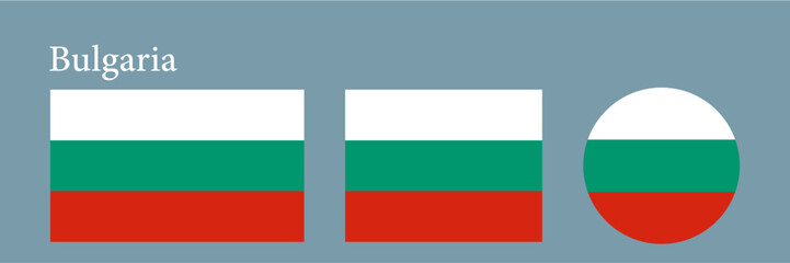 set of Bulgaria flag vector illustration icon 