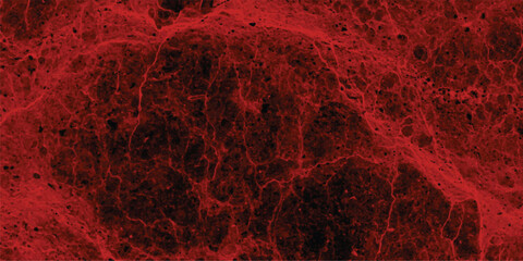 Intense abstract background with a deep crimson and black textured pattern resembling cracked earth or a biological cell structure, conveying a powerful and dramatic visual impact for scientific or