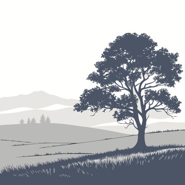 Serene landscape with a large deciduous tree silhouette on rolling hills under a bright sky