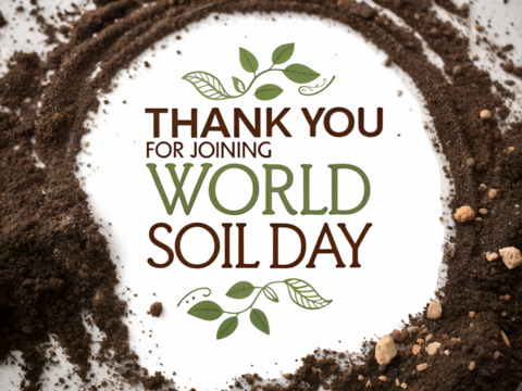 World Soil Day Appreciation Concept with Soil Frame