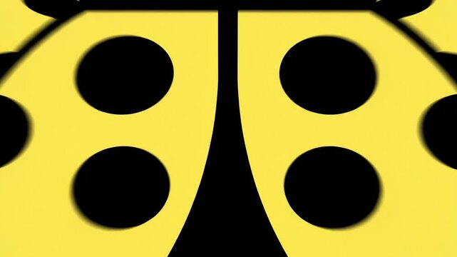 Ladybug Close Up Yellow and Black Insect Macro Photography.