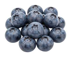 Fresh blueberries gathered in nature healthy food bright colors isolated on transparent background