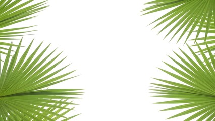 Fototapeta premium Tropical palm leaves frame on white background for summer design
