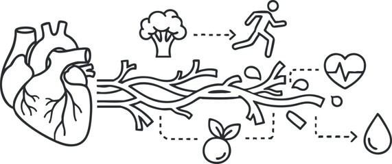 A detailed illustration of a human heart with branches leading to healthy activities and elements in minimalist outline vector style, suitable for health and wellness projects