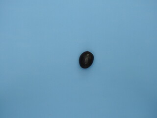 A solitary black olive placed on a blue background