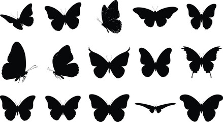 Butterfly silhouette collection diverse shapes and poses in black