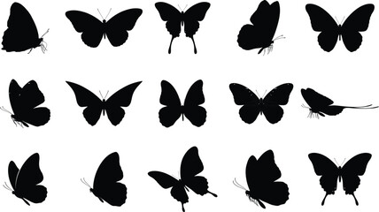 Butterfly silhouette collection diverse shapes and poses for creative design