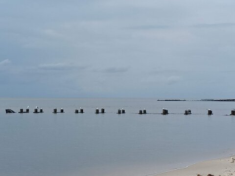 The wooden beams of an old wooden jetty protruding from the tranquil bay water on a cloudy day at the beach.