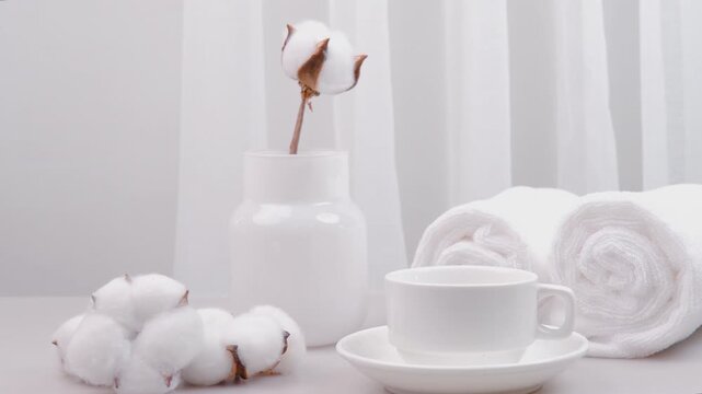 Premium Xinjiang Long Staple Cotton Flowers with White Home Textiles Quality Pure Natural Fiber Display