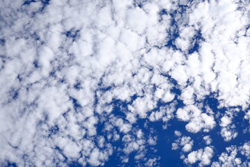 Obraz premium Beautiful Altocumulus Clouds in a Clear Blue Sky