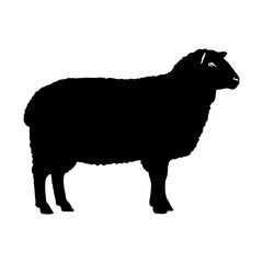 Silhouette of a sheep standing on a white background in side profile
