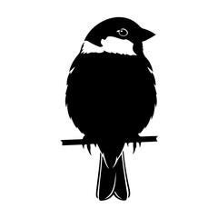 Silhouette of a bird with white markings perched on a small branch art
