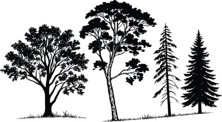 Collection of distinct tree silhouettes, from broad deciduous to slender coniferous, natural flora