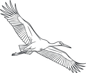 Fototapeta premium A stylized outline illustration of a flying crane bird in minimalist black and white vector style, suitable for nature-themed designs