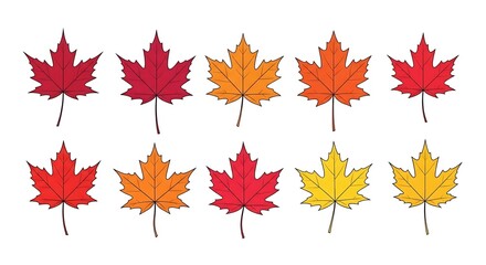 Fototapeta premium Collection of colorful maple leaves in autumn hues