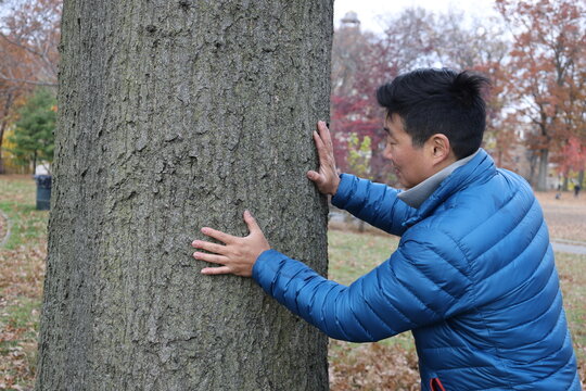 adult man examining tree plant in park horticulture expert stroll walk winter autumn blue puffy jacket puffer down coat garden gardening flora botanic botanical gaze bend pick up touch reach portrait