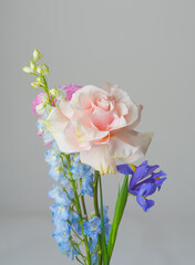 Bouquet flowers rose iris delphinium beautiful plant over gray background