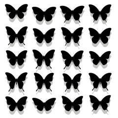 collection of butterflies