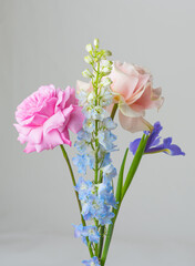 Bouquet flowers rose iris delphinium beautiful plant over gray background
