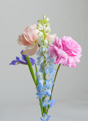 Bouquet flowers rose iris delphinium beautiful plant over gray background