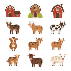 Cartoon cows and barns vector illustration set for farm concepts