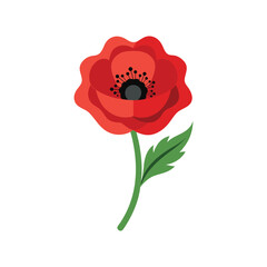 A poppy flower vector art illustration