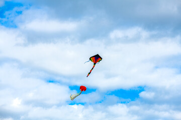 Kites flying in the clear blue sky