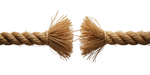 Close up of a frayed and broken rope with fibers separating isolated on transparent background