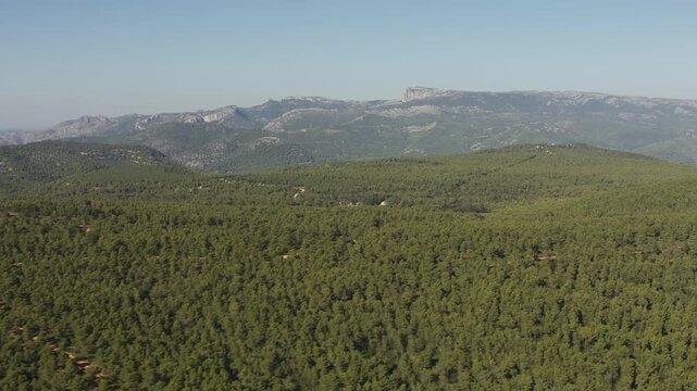 Vue sur for&ecirc;t et massif de la Sainte Baume
