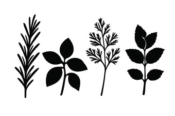 Set of black silhouettes showing various aromatic culinary herbs and spices
