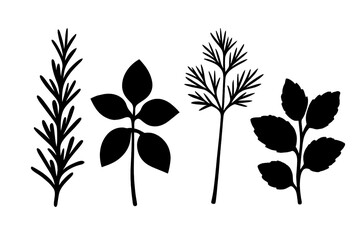 Black silhouettes of popular culinary herbs: rosemary, basil, dill, and mint leaves