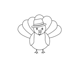turkey birds 