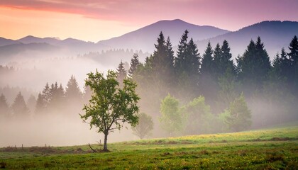 sunrise in the mountains