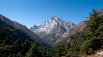 Obraz premium Majestic alpine mountain range with a verdant valley and pine forests under a clear blue sky