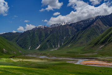 Wide green Truso Valley beneath dark forested Caucasus ridge