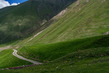 Narrow dirt road winding below steep sunlit alpine grass slopes