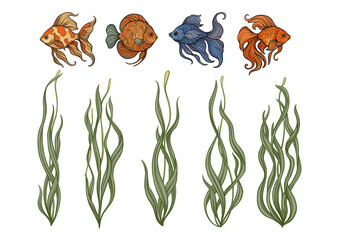 Aquarium set with ornamental fish and swaying seaweed. Vector illustrations in color and outline, detailed flowing fins and green aquatic plants for marine decor, pet habitat designs