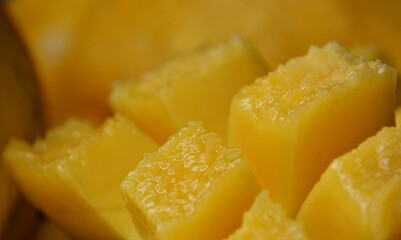 Macro close-up of a ripe mango hanging from a leafy tree branch, with dewdrops and golden skin glowing in natural sunlight. 