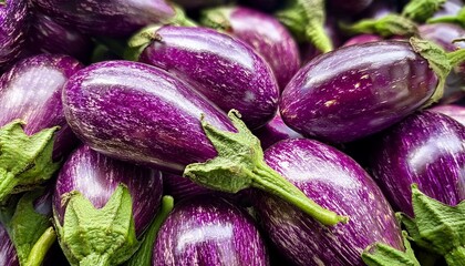 close up fresh purple eggplants aubergines brinjal with green stems shiny surface vegetables organic produce healthy food nutrition cooking ingredient farm harvest garden grocery