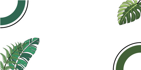 Tropical Green Leaves and Geometric Frame Background