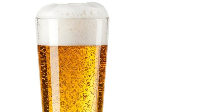 Tall glass of golden beer with frothy head