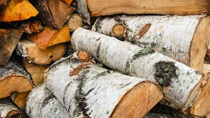 Fotobehang Brandhout Detailed close-up of stacked birch firewood logs, showing white bark and rough textured wood ends  © emerald17