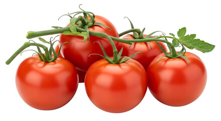 Vibrant red ripe organic tomatoes on a green vine with fresh leaves, symbolizing healthy nutrition and garden.