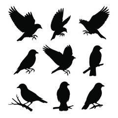 Obraz premium Placeholder text 'vector file' displayed on a clean white background