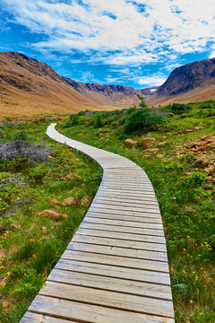 The view of Tablelands Trail, Gros Morne National Park, Newfoundland, Canada