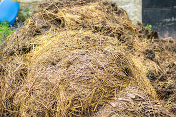 Pile of manure and straw for fertilizer