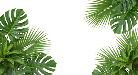 Fototapeta premium Lush green tropical leaves, including monstera and palm fronds, isolated on a transparent background, cutout, PNG