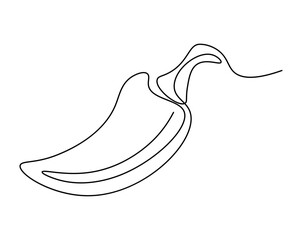 Minimalist single line drawing of a chili pepper featuring a curved body and a stem extending to the right, isolated on
